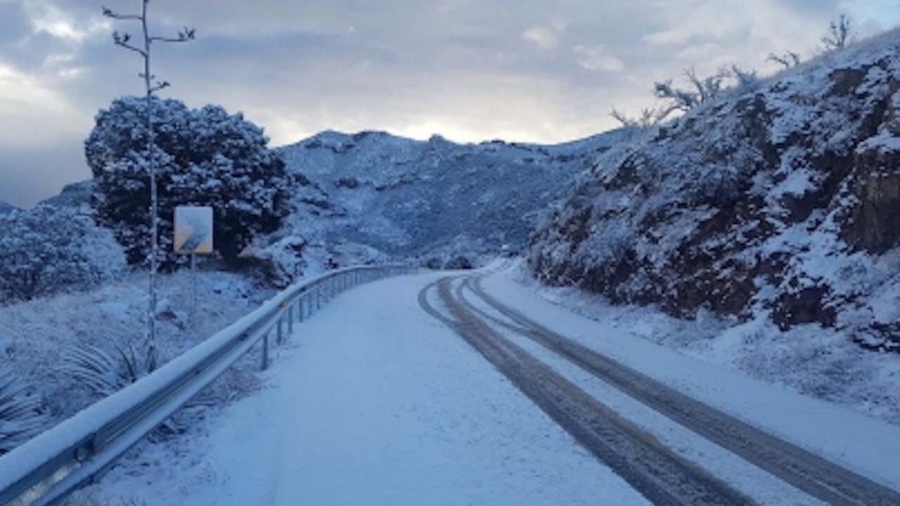 Nieve