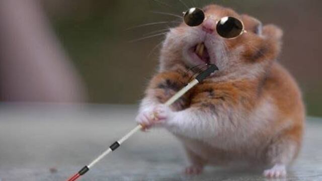 Memes del eclipse solar 2023