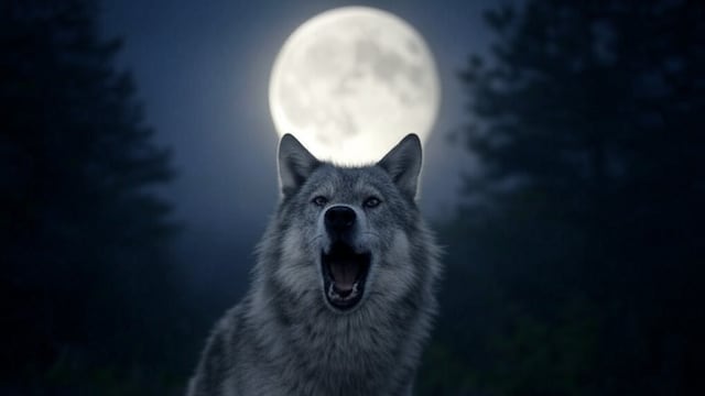 La luna llena del lobo de enero 2025, tiene un significado espiritual
