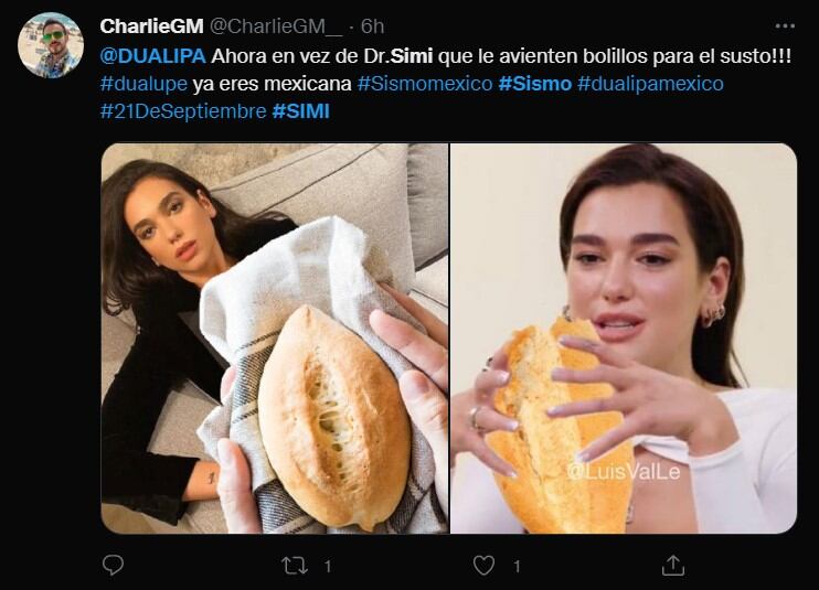 Memes Dua Lipa