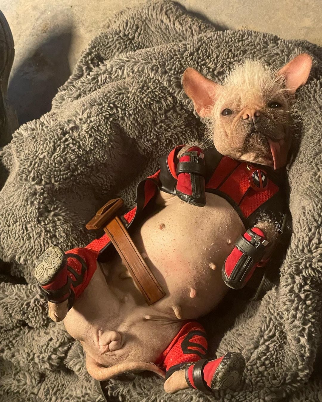Dogpool será el nuevo personaje de Deadpool 3