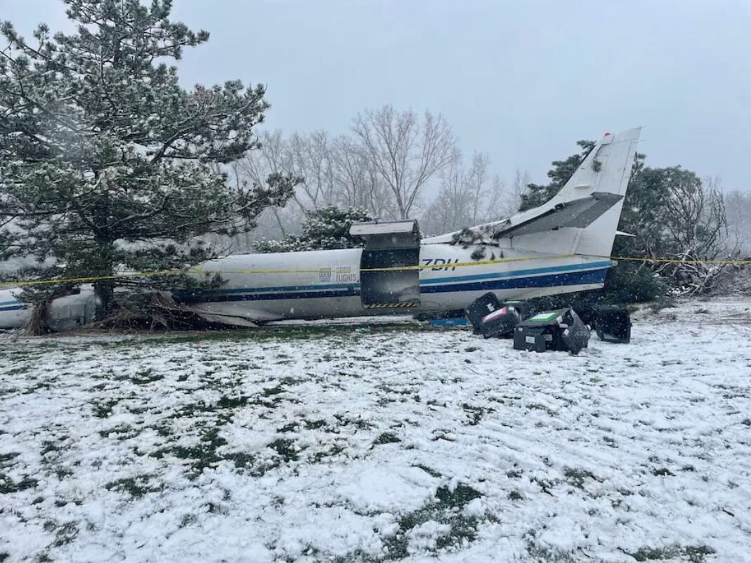 Avión con 53 perros a bordo se estrella