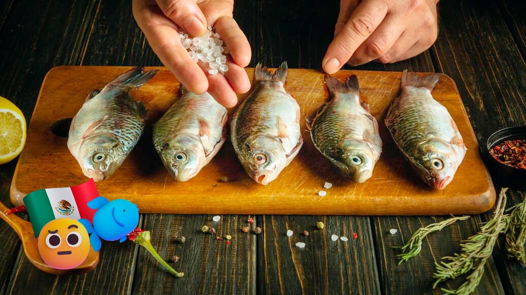 Casi 4 de cada 10 pescados en México no son lo que dicen ser