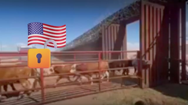 Estados Unidos reabre Douglas, Arizona, al ganado mexicano tras 14 meses de suspensión