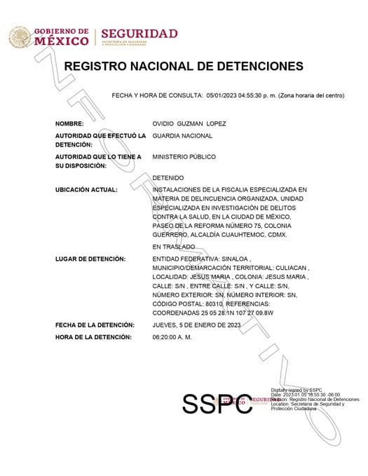 Ovidio Guzmán López ya se encuentra en la Fiscalía Especializada en Materia de Delincuencia Organizada, de acuerdo con el Registro Nacional de Detenciones