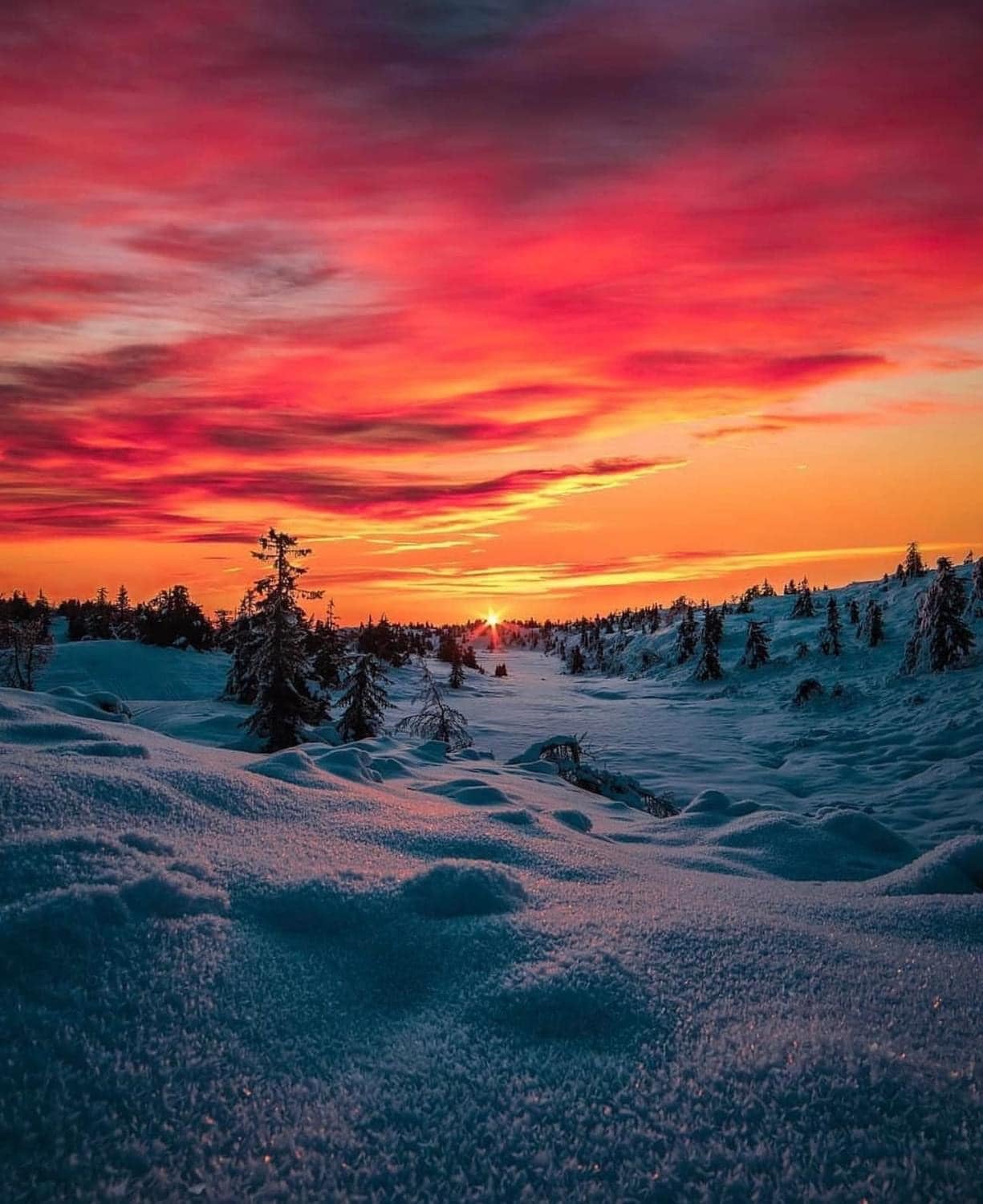 Las mejores fotos de la caída de nieve en Durango