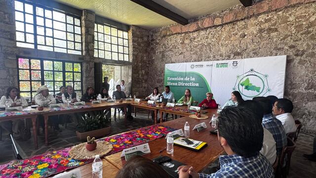 Plan San Luis Potosí