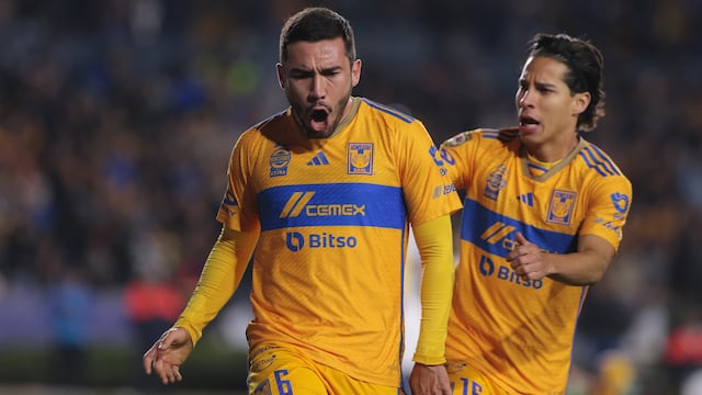 Tigres finalista
