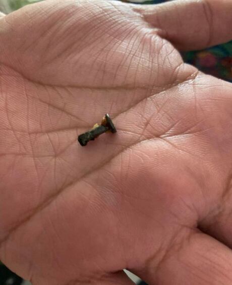 Clavo que encontró en su taco de barbacoa