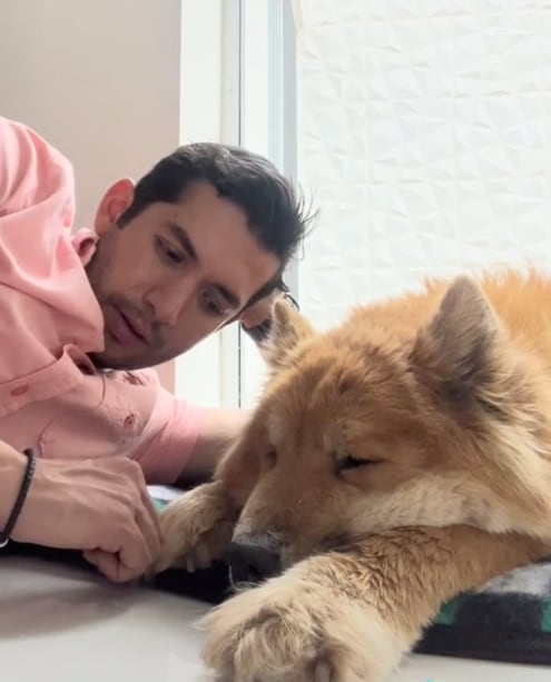 TikToker comparte los últimos con su perrita