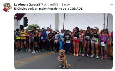 Memes de Ana Gabriela Guevara