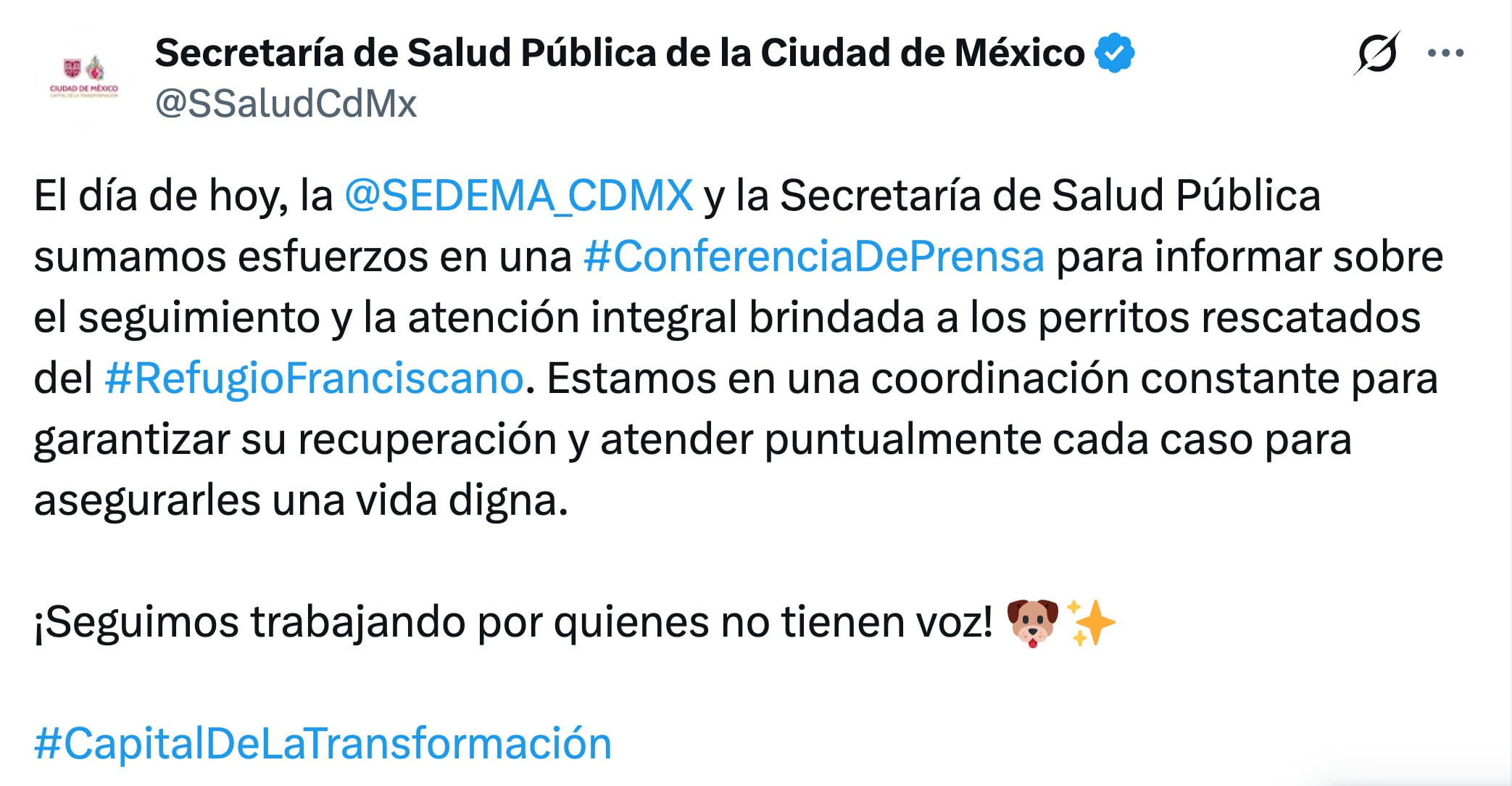 Murieron seis perros rescatados del Refugio Franciscano