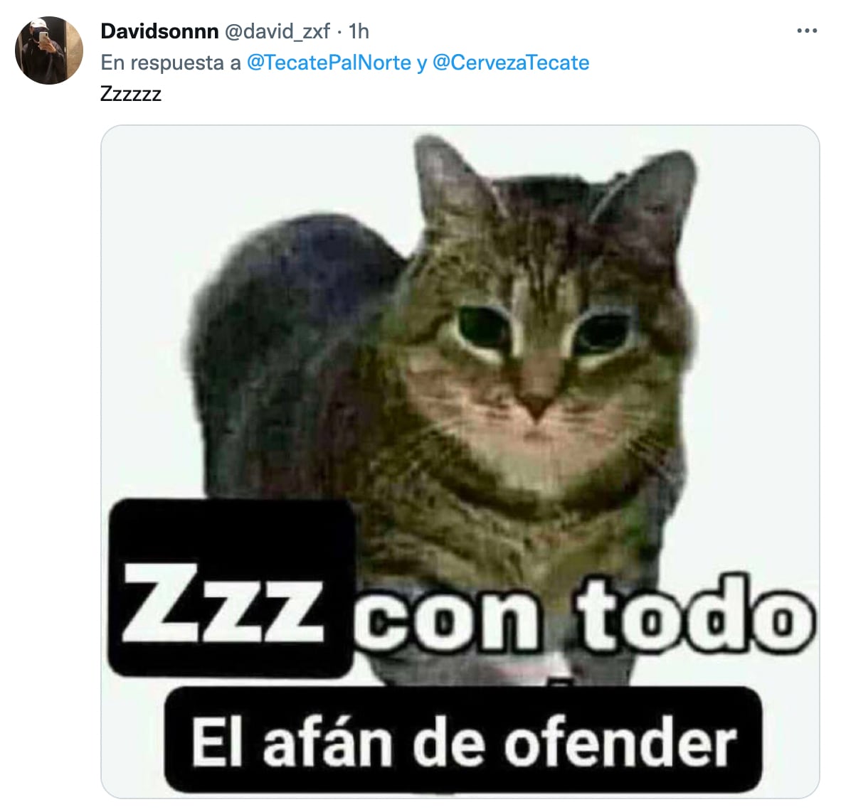 Memes Tecate Pal Norte 2023