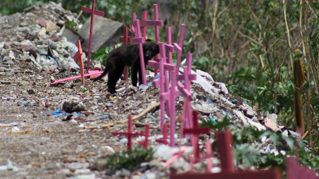 Imagen representativa.