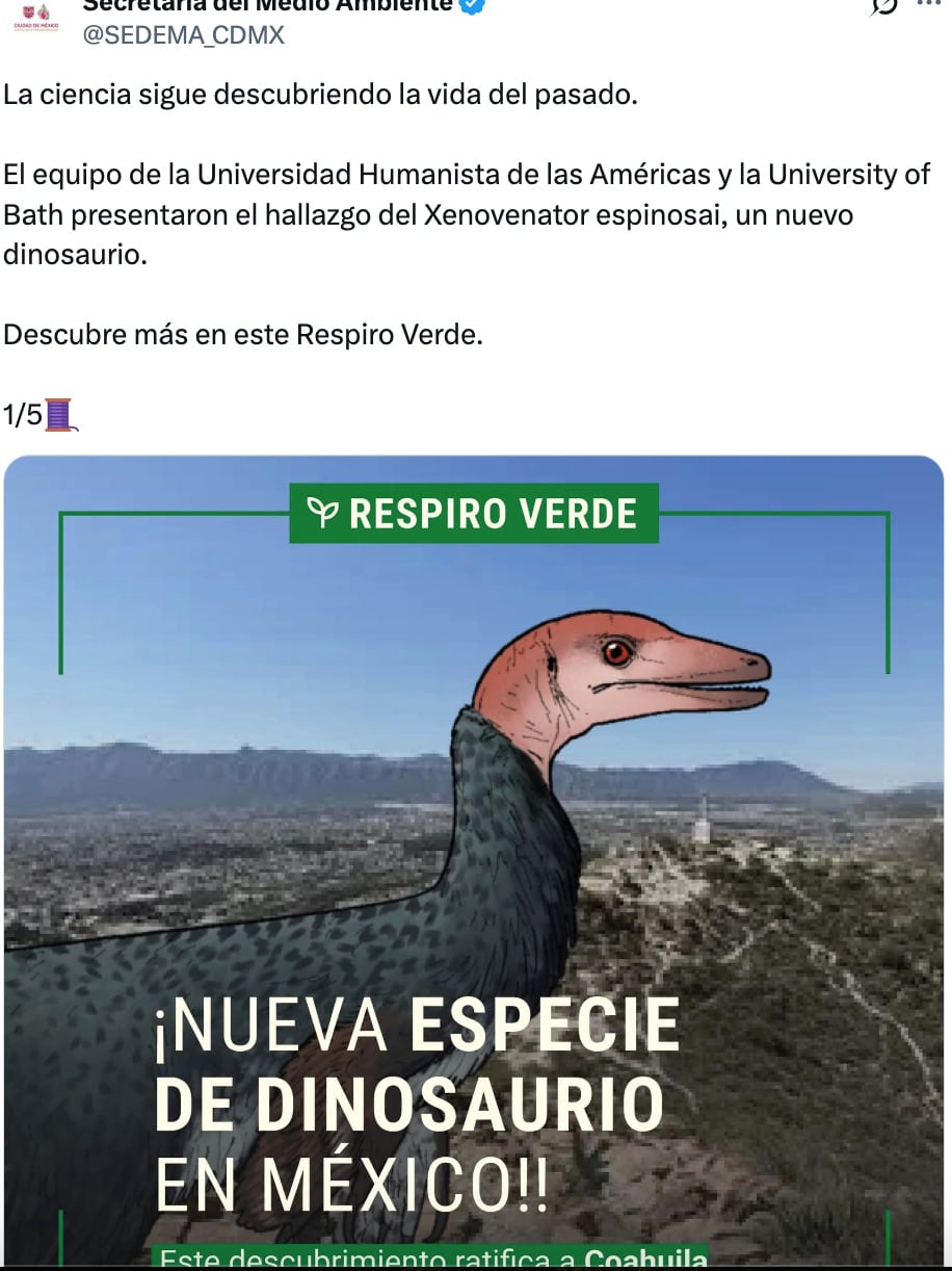 Descubren en Coahuila a un nuevo dinosaurio: el Xenovenator espinosai