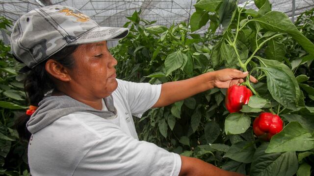 El PRI se pronuncia ante la iniciativa de AMLO de desaparecer el FND