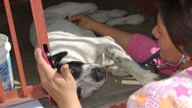 Foto: Ilich Valdez / Tomada de Milenio