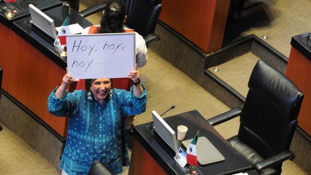 Cámara de Senadores, discusión ejercito 2028