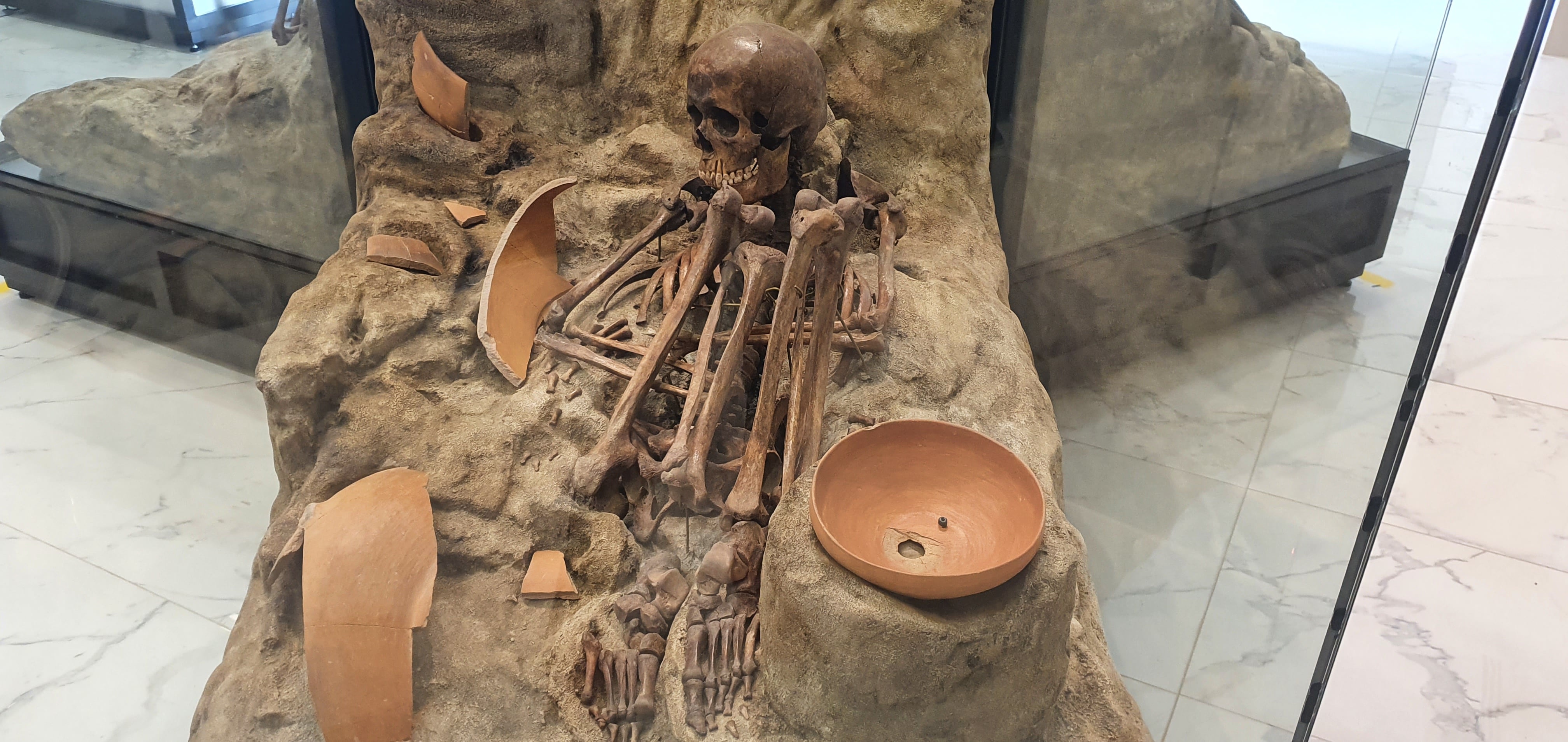 Exposición temporal del museo del mamut