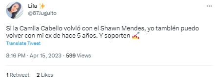 Memes porque Camila Cabello y Shawn Mendes regresaron