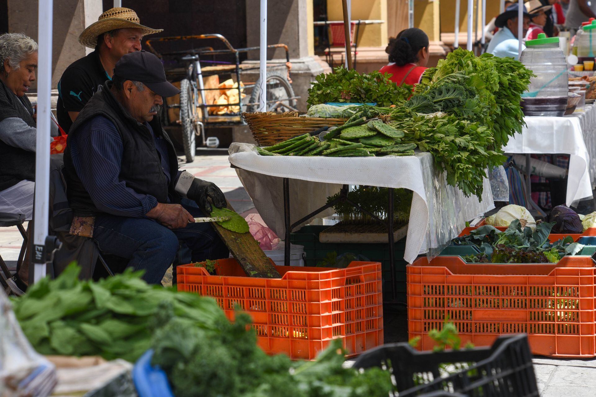 Verduras en tianguis de México