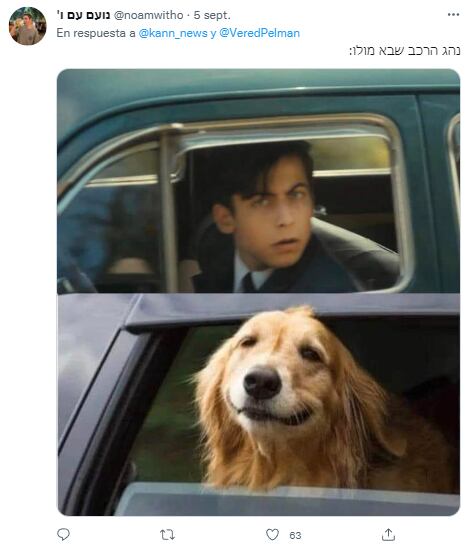 Meme por el hombre que pone a perrito a manejar su auto