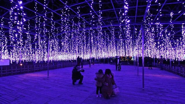Lights of Japan