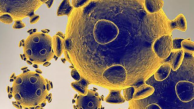 This handout illustration image obtained February 27, 2020 courtesy of the US Food and Drug Administration shows the coronavirus,COVID-19. - President Donald Trump has played down fears of a major coronavirus outbreak in the United States, even as infections ricochet around the world, prompting a ban on pilgrims to Saudi Arabia. China is no longer the only breeding ground for the deadly virus as countries fret over possible contagion coming from other hotbeds of infection, including Iran, South Korea and Italy. There are now more daily cases being recorded outside China than inside the country, where the virus first emerged in December, according to the World Health Organization. (Photo by Handout / US Food and Drug Administration / AFP) / RESTRICTED TO EDITORIAL USE - MANDATORY CREDIT "AFP PHOTO /US FOOD AND DRUG ADMINISTRATION/HANDOUT " - NO MARKETING - NO ADVERTISING CAMPAIGNS - DISTRIBUTED AS A SERVICE TO CLIENTS