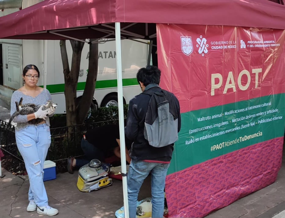 Jornada de bienestar animal PAOT