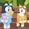 VIDEO: Bluey y Bingo estuvieron en la Biblioteca Vasconcelos de visita en CDMX
