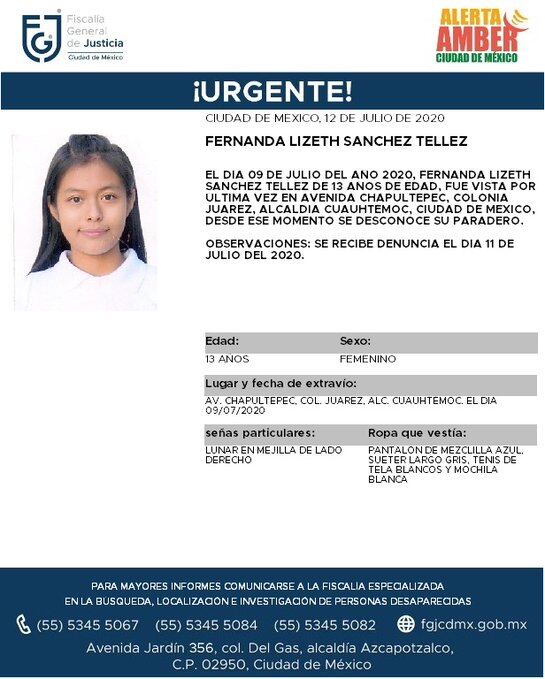 Ficha de búsqueda de Fernanda.