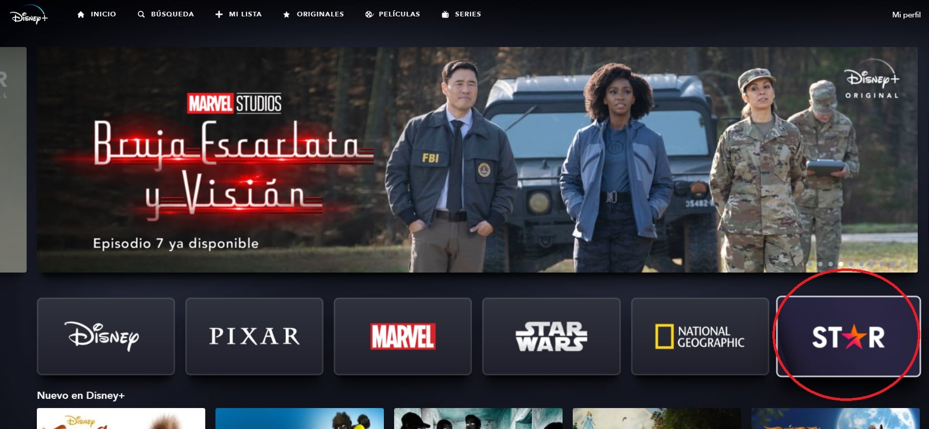Disney+ Star