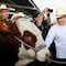 Alfonso Durazo reactiva exportación de ganado de Sonora a Estados Unidos
