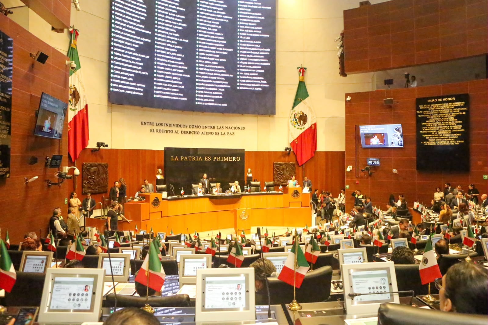 Ruth González destaca iniciativa sobre maltrato animal
