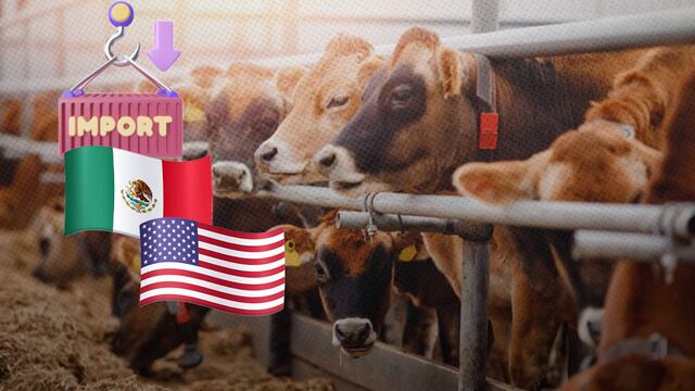 ¿Fin del gusano barrenador?