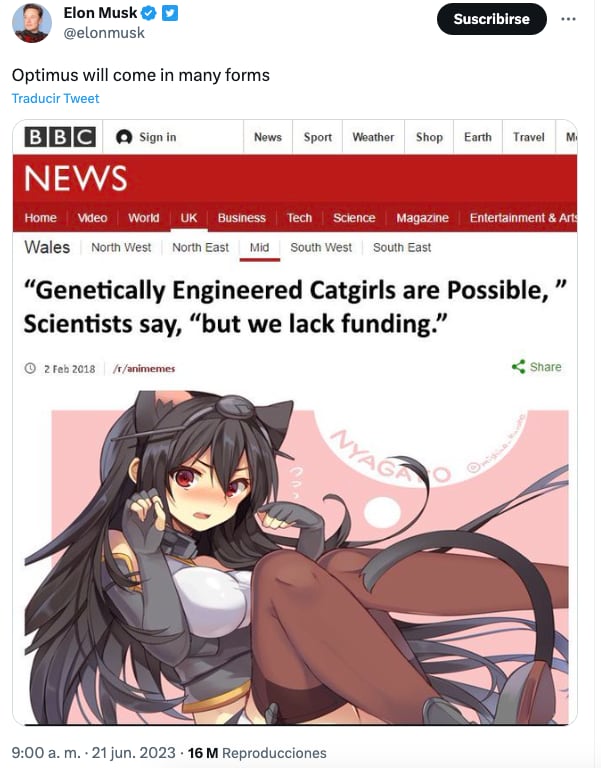 Elon Musk imagina cómo serán las chicas gato y recuerdan su propuesta de robots sexuales en Twitter