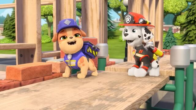 Rubble y su Equipo por Día Mundial de la Ingeniería para el Desarrollo Sostenible