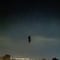 VIDEO: Un extraño ser volador aterroriza a TikTok porqué nadie sabe qué es