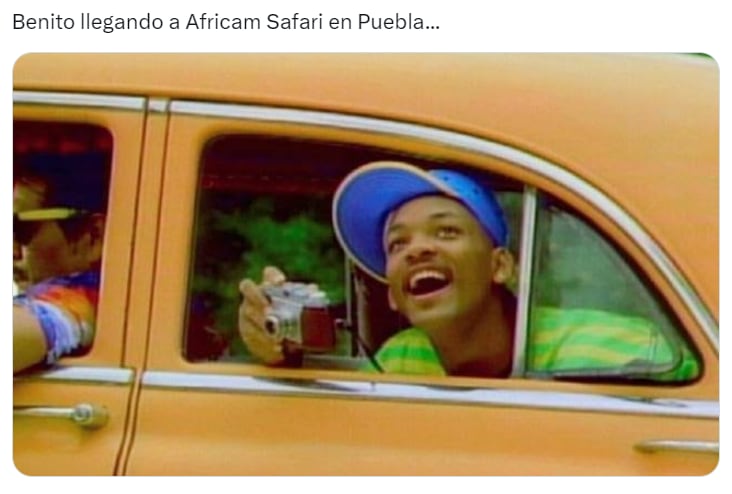 Memes de la Jirafa Benito