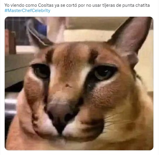 Memes: Cositas es la primera en cortarse en MasterChef Celebrity 2023.