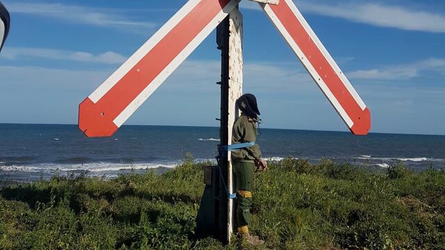 Piloto denuncia ritual de novatadas