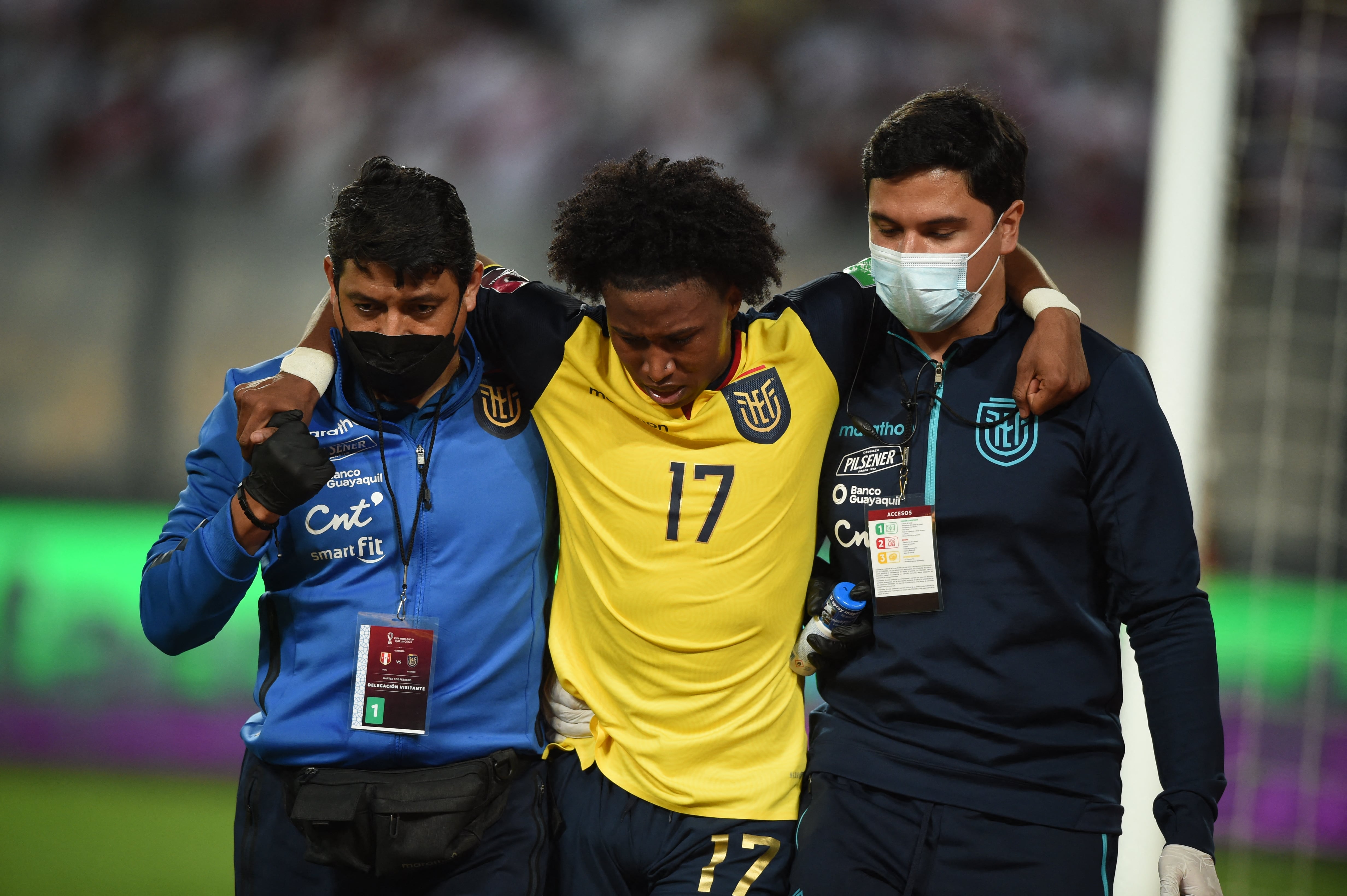 Selección de futbol de Ecuador