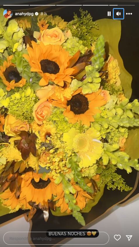 Daisy Anahí recibió otro regalo de flores amarillas, ¿de Eduin Caz?