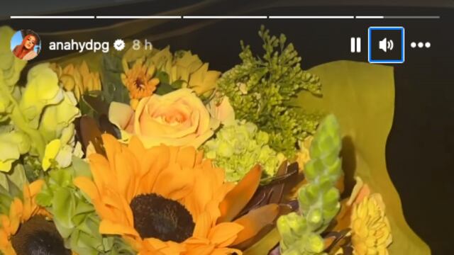 Daisy Anahí recibió otro regalo de flores amarillas, ¿de Eduin Caz?