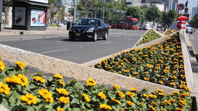 Van Gogh Alive llena de amarillo y amor al Paseo de la Reforma.