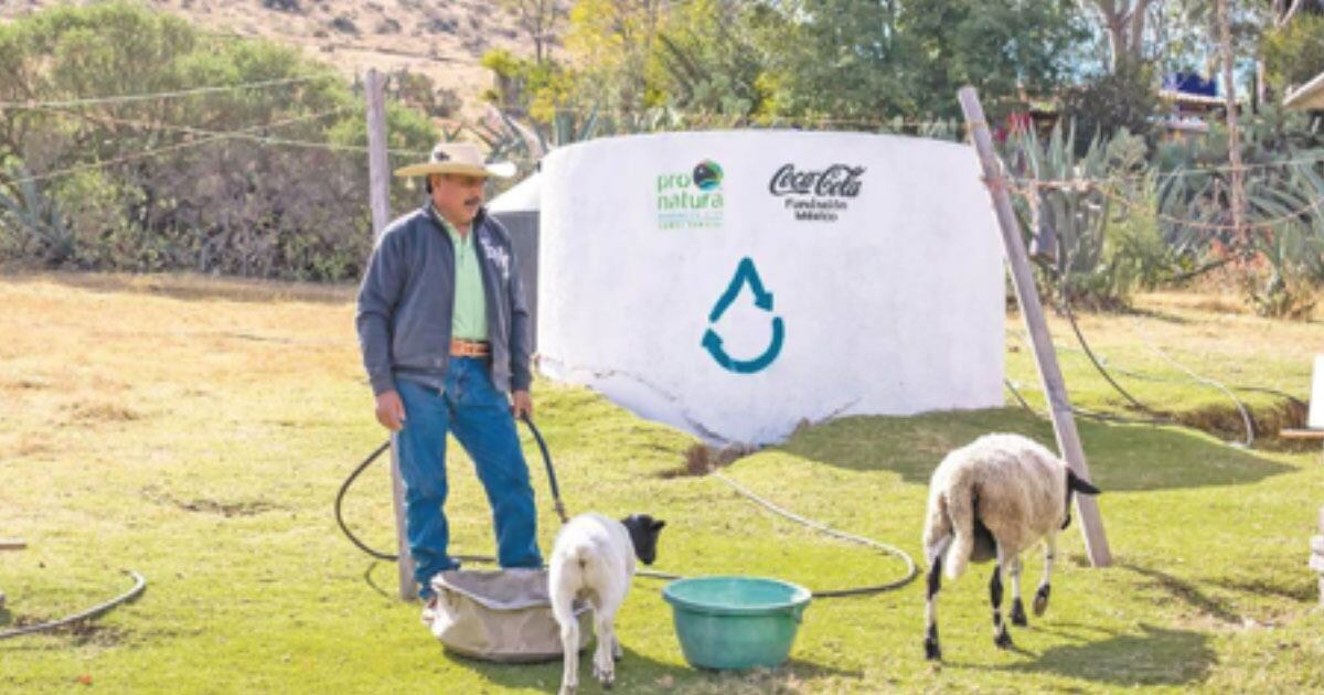 Nuevas acciones IMCC