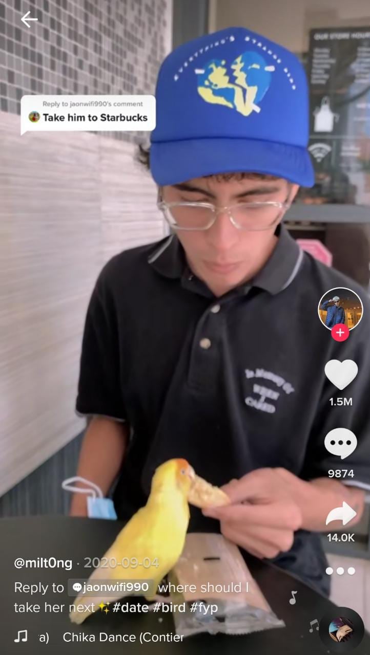 Joven lleva a su periquita a Starbucks