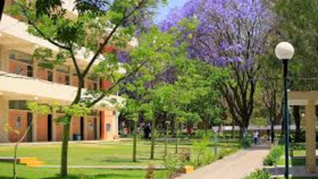 A ver, Luis, ¿te inconformaste con el título noticioso de Aristegui y Article 19?