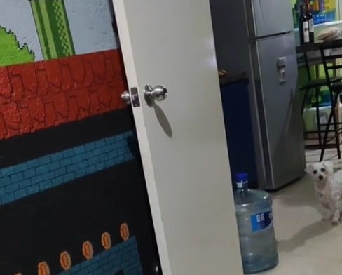 Video de TikTok