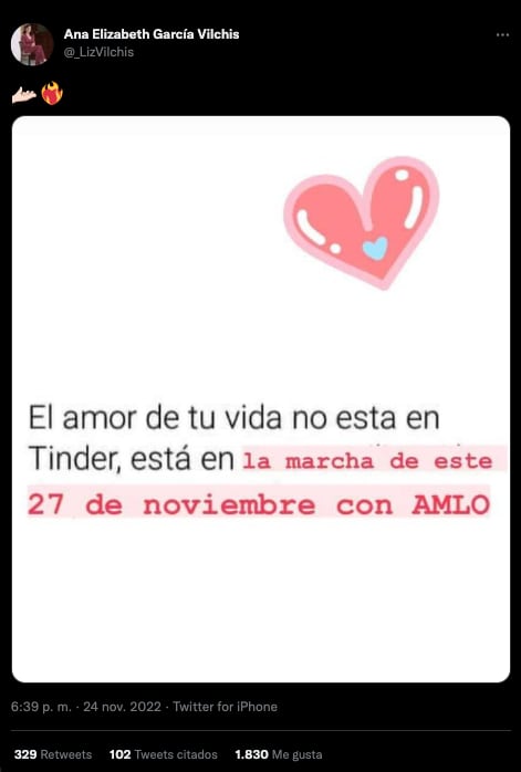 Se burlan de Ana Elizabeth García Vilchis por su invitación a la marcha de AMLO